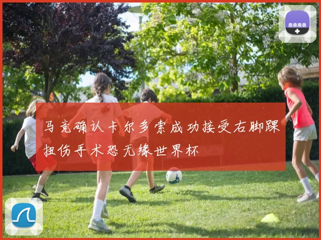 马竞确认卡尔多索成功接受右脚踝扭伤手术恐无缘世界杯